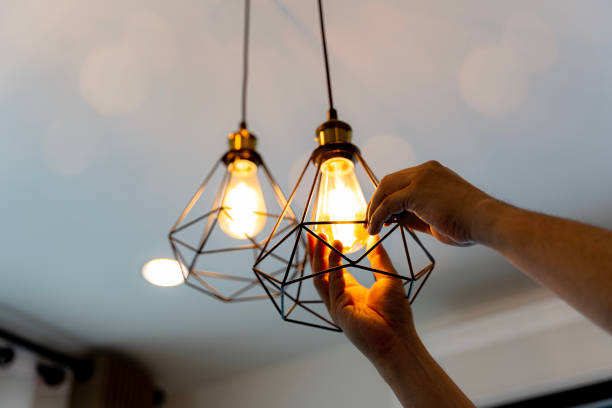 Best Local Electrician Companies  in Plumsteadville, PA
